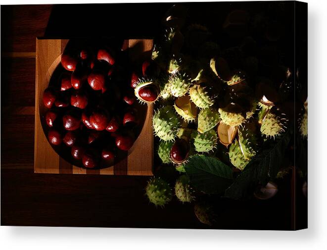 Chestnuts Canvas Print featuring the photograph Chestnuts by David Andersen