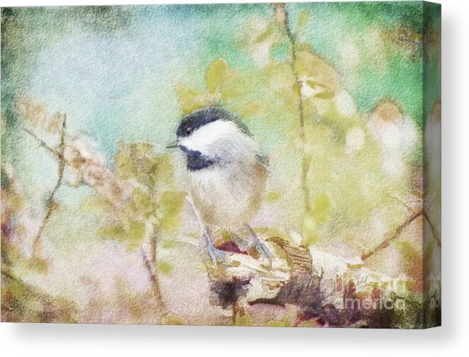 Chickadee Canvas Print featuring the photograph Chickadee and the Hiding Caterpillar - Digital Paint 4 by Debbie Portwood