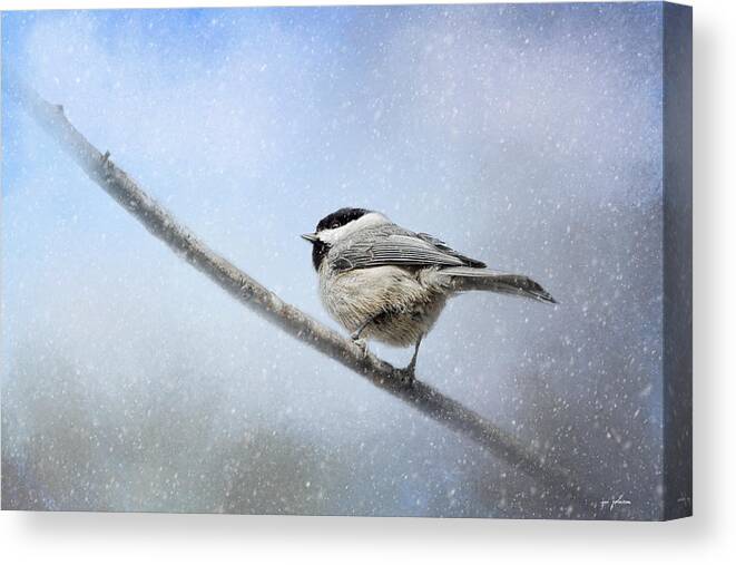 Jai Johnson Canvas Print featuring the photograph Chickadee In The Snow by Jai Johnson