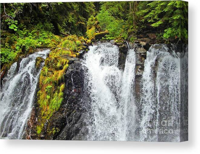 Alaska Canvas Print featuring the photograph Chilkoot Falls by Phillip Allen