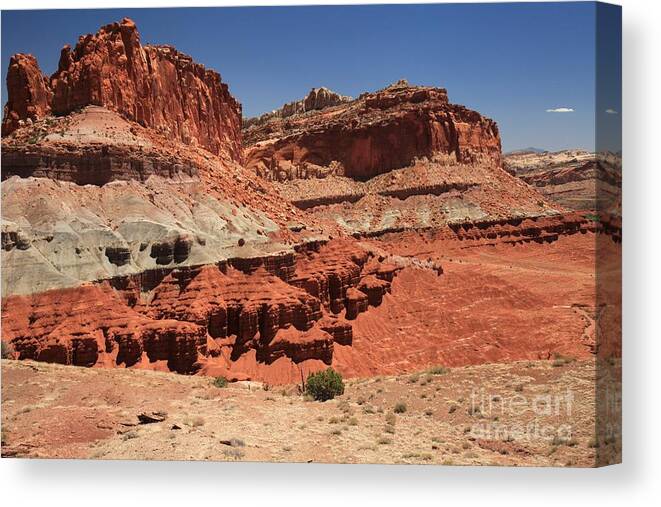 Capitol Reef National Park Canvas Print featuring the photograph Chimney Rock Waterpocket by Adam Jewell