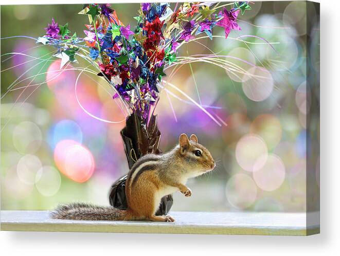Chippy Canvas Print featuring the photograph Chippy Party Time by Peggy Collins