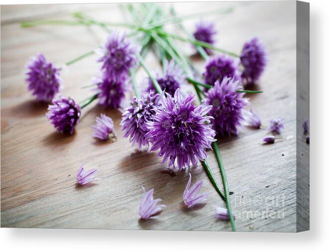 Green Canvas Print featuring the photograph Chives by Kati Finell