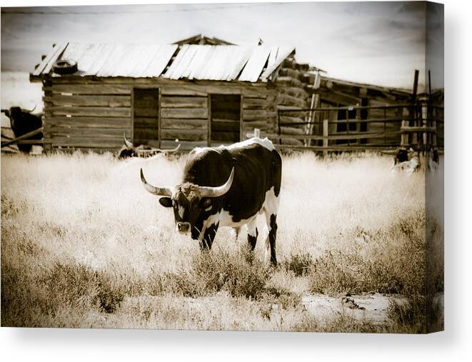 Horizontal Canvas Print featuring the photograph Chocolate Pepper - Jeffrey City - Wyoming by Diane Mintle