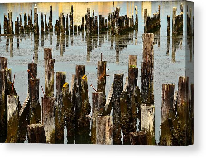 Pilings Canvas Print featuring the photograph Choosing Sides by Jon Exley