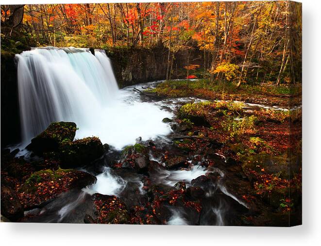 Waterfall Canvas Print featuring the photograph Choushi - Ootaki Waterfall in Autumn by Brad Brizek