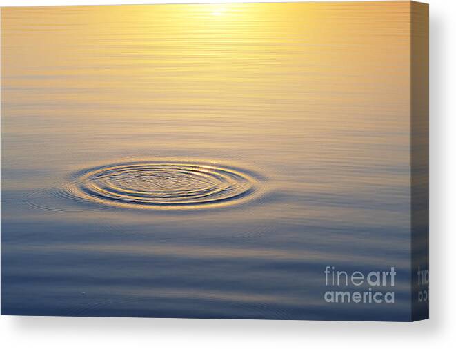 Water Ripple Canvas Print featuring the photograph Circles at Sunrise by Tim Gainey