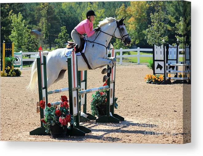 Horse Canvas Print featuring the photograph Cjst-jumper27 by Janice Byer