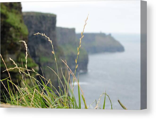 Cliffs Canvas Print featuring the photograph Cliffs of Moher by Carrie Todd