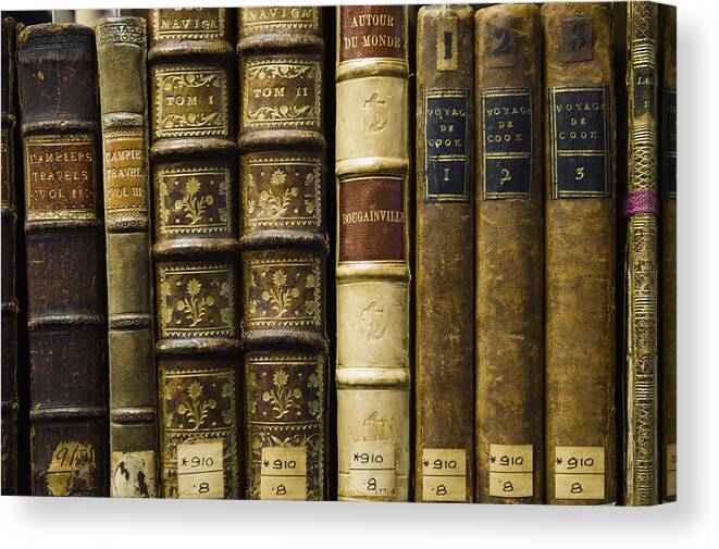 Education Canvas Print featuring the photograph Close up of old leather bound books in library by Jacobs Stock Photography Ltd