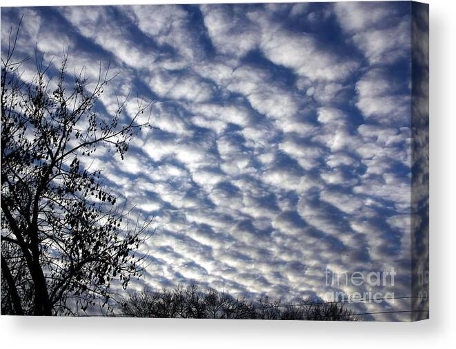Sky Canvas Print featuring the photograph Cloud of Cotton balls by Yumi Johnson