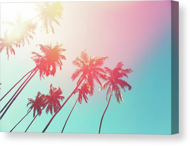 Water's Edge Canvas Print featuring the photograph Coconut Trees And Turquoise Indian Ocean by Danilovi