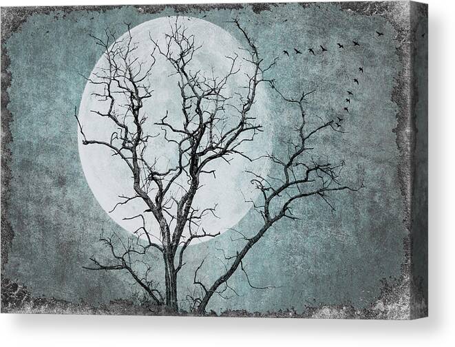 Tree Canvas Print featuring the photograph Cold Winter Night by Cathy Kovarik