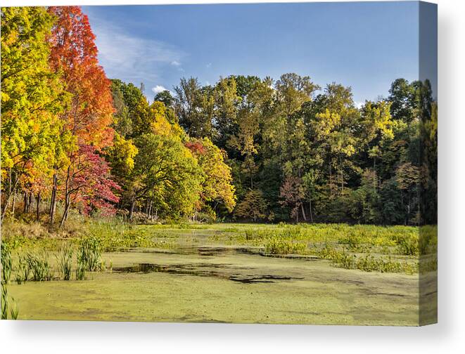 Foliage Canvas Print featuring the photograph Color At The Swamp by Cathy Kovarik