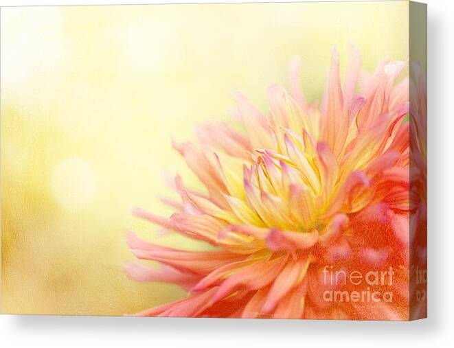 Dahlia Canvas Print featuring the photograph Color Me Happy by Beve Brown-Clark Photography