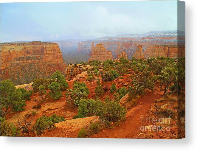 Roena King Canvas Print featuring the photograph Colorado Natl Monument Snow Coming Down the Canyon by Roena King