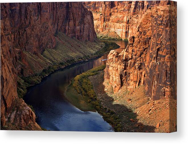 Orias Canvas Print featuring the photograph Colorado River C6J6167 by David Orias