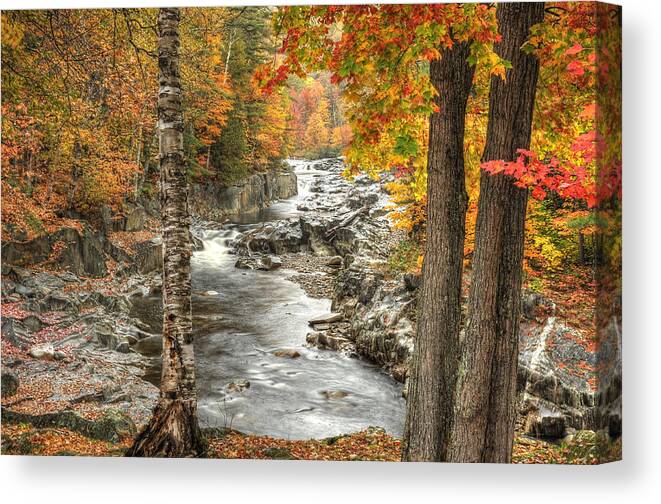 Photograph Canvas Print featuring the photograph Colorful Creek by Richard Gehlbach