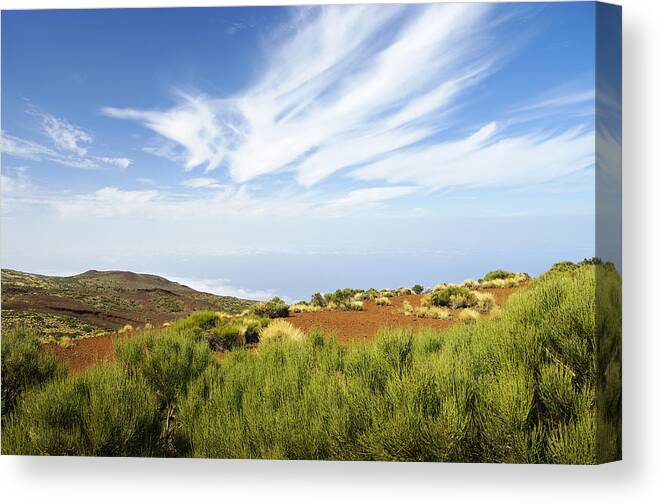 Sky Canvas Print featuring the photograph Colorful View by Elena Paskova