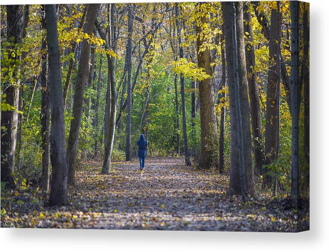 Fall Canvas Print featuring the photograph Come For a Walk by Sebastian Musial
