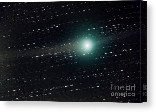 Astronomy Canvas Print featuring the photograph Comet Lulin by John Chumack