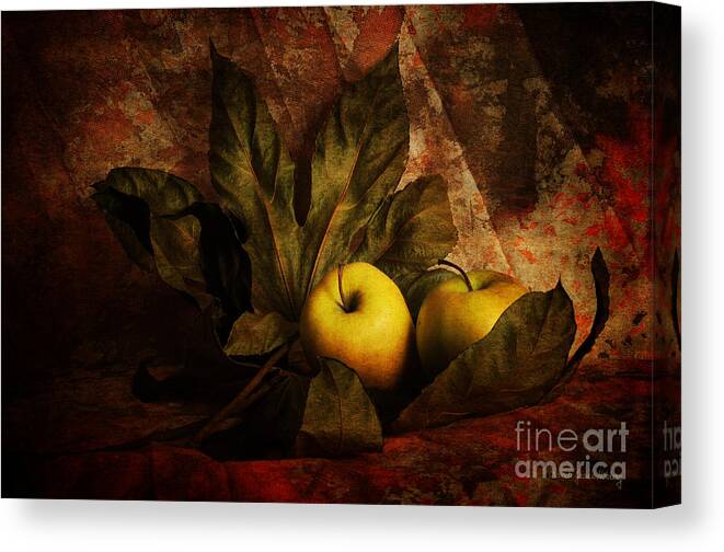 Apples Canvas Print featuring the photograph Comfy Apples by Randi Grace Nilsberg