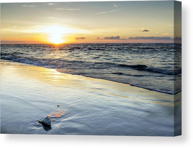 Benach Canvas Print featuring the photograph Conch Shell by Charles Aitken