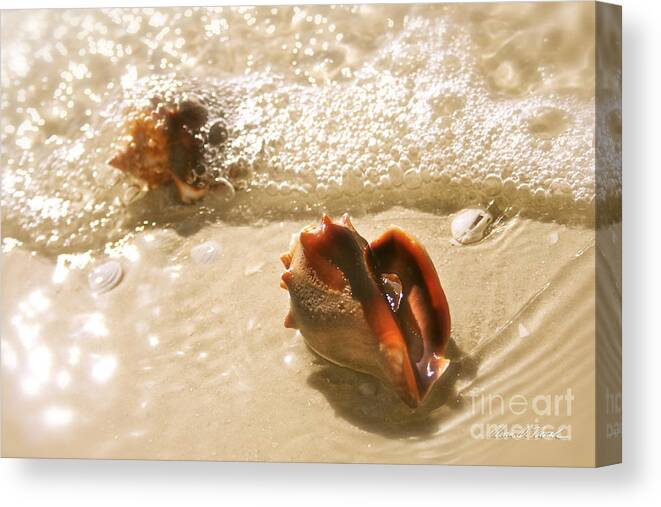 Conchs In Surf Canvas Print featuring the photograph Conchs in Surf 2 Antique by Olivia Novak