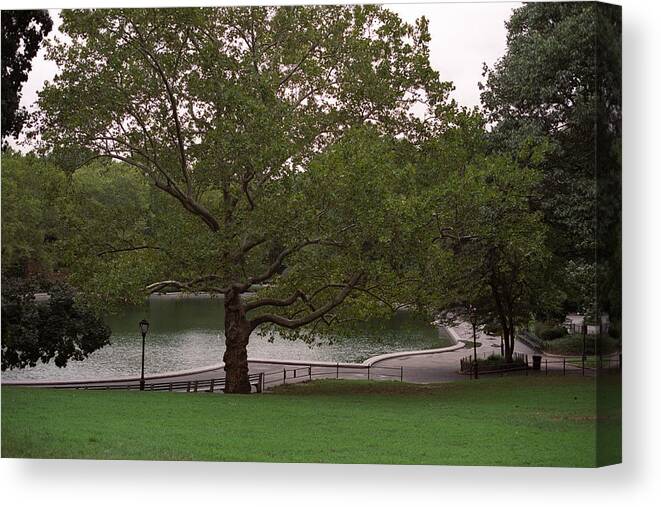 Central Park Canvas Print featuring the photograph Conservatory Water by Cornelis Verwaal