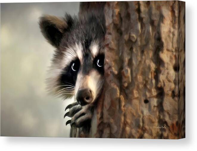 Raccoon Canvas Print featuring the painting Conspicuous Bandit by Christina Rollo