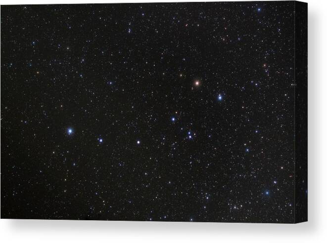 Ursa Minor Canvas Print featuring the photograph Constellation Of Ursa Minor by Tony & Daphne Hallas/science Photo Library