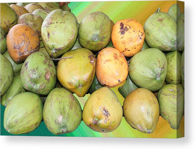 Coconuts Canvas Print featuring the photograph CooConuts by Audrey Robillard