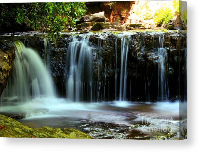 Water Fall Canvas Print featuring the photograph Cool Spring by Melissa Petrey