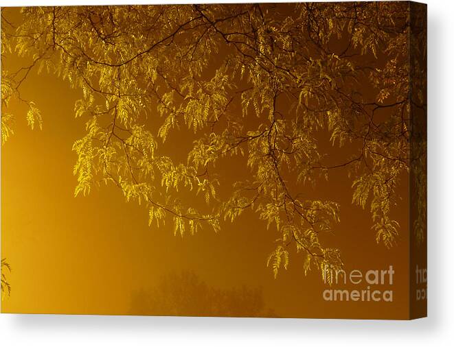 Illinois Canvas Print featuring the photograph Copper Leaves in Fog by Deborah Smolinske