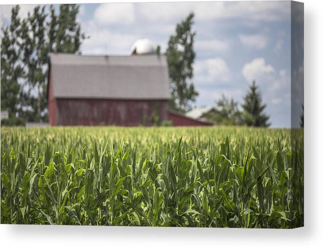 Michigan Canvas Print featuring the photograph Corn Field and Barn by John McGraw