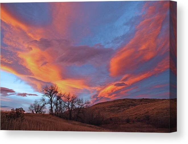 Cottonwood Tree Print Canvas Print featuring the photograph Cottonwood Sunset by Jim Garrison