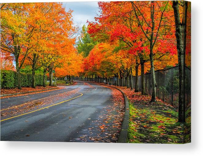 Autumn Canvas Print featuring the photograph Coulon Park Autumn by Ken Stanback