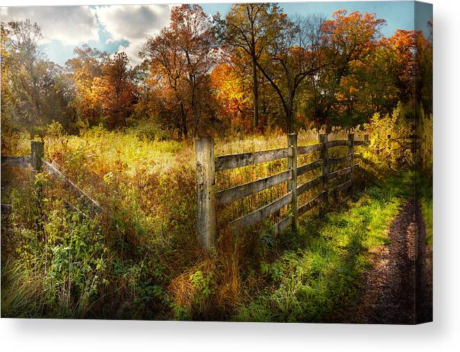 Season Canvas Print featuring the photograph Country - Autumn years by Mike Savad