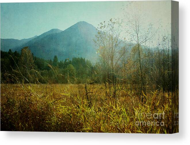 Country Canvas Print featuring the photograph Country Drive by Sylvia Cook