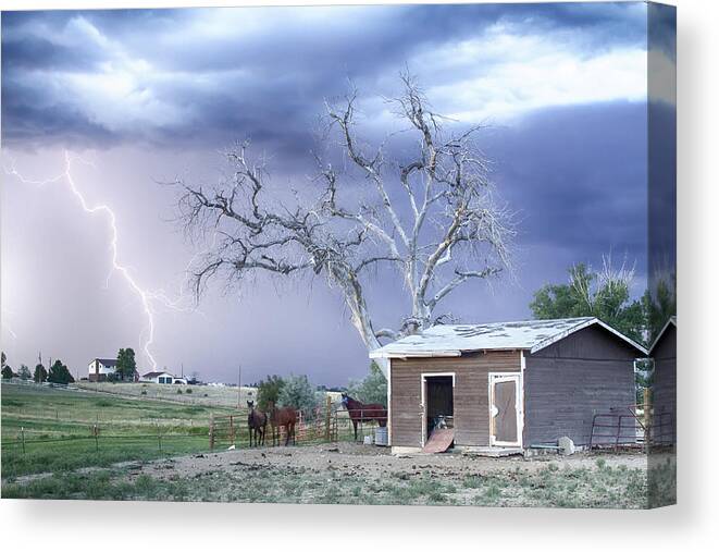 Country Canvas Print featuring the photograph Country Horses Lightning Storm CO  by James BO Insogna