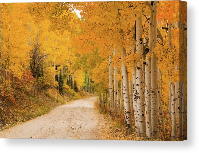 Tranquility Canvas Print featuring the photograph Country Road In Fall Season by David Epperson