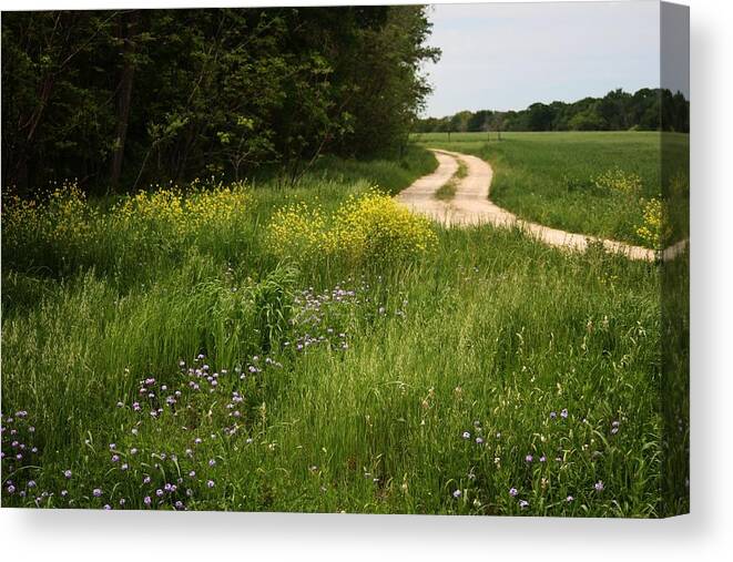 Country Canvas Print featuring the photograph Country Road by Valerie Loop