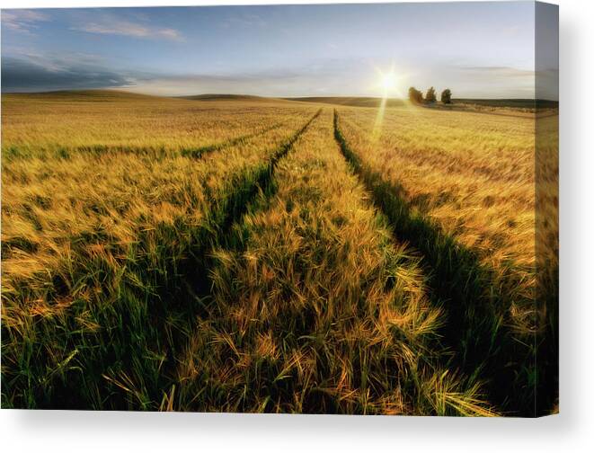 Sun Canvas Print featuring the photograph Country-side by Piotr Krol (bax)