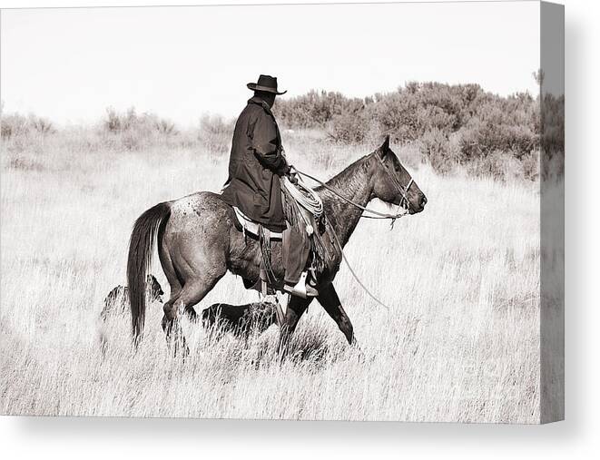Cowboy Canvas Print featuring the photograph Cowboy and Dogs by Cindy Singleton