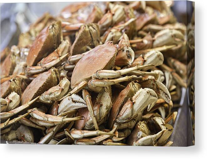 Crabs Canvas Print featuring the photograph Crabs by Mark Harrington