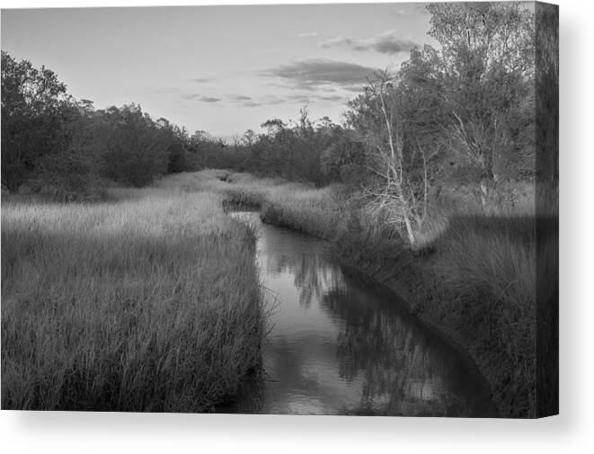 Landscape Canvas Print featuring the photograph Creek at Wilmington Island by Frank Bright