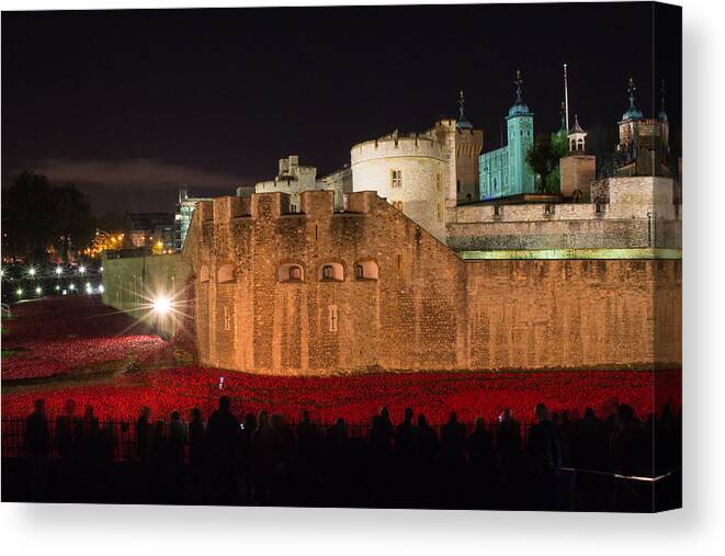 Tower Of London Canvas Print featuring the photograph Crowded Poppies by Andrew Lalchan