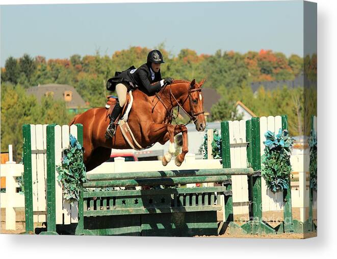 Horse Canvas Print featuring the photograph Csjt-hunter2 by Janice Byer