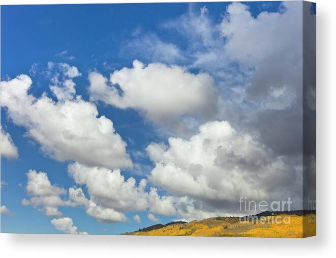00559138 Canvas Print featuring the photograph Cumulus Clouds And Aspens by Yva Momatiuk John Eastcott