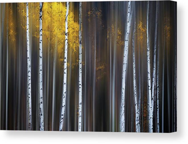 Fall Canvas Print featuring the photograph Curtain Of Fall by Andy Hu